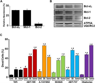 Inhibition of the Anti-Apoptotic Bcl-2 Family by BH3 Mimetics Sensitize the Mitochondrial Permeability Transition Pore Through Bax and Bak